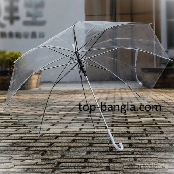 Transparent Umbrella